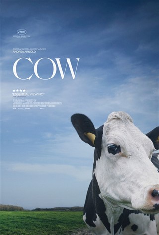 Cow poster.jpg